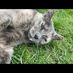 Meet your Posher, Paige